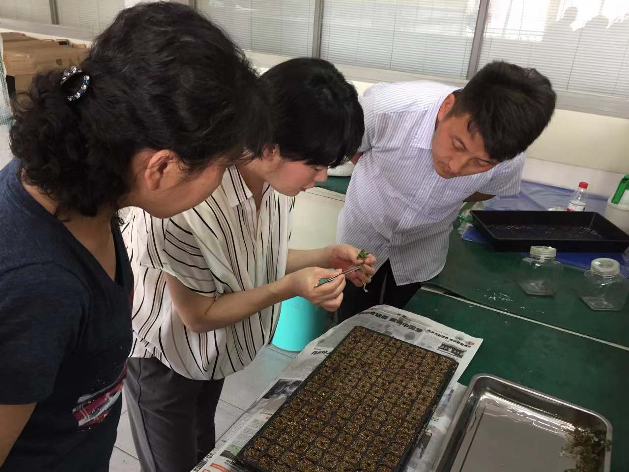 由纪生物科技技术人员与日本农科专家探讨草莓组培技术